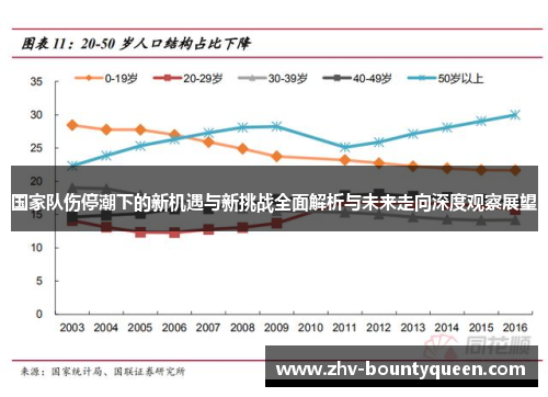 国家队伤停潮下的新机遇与新挑战全面解析与未来走向深度观察展望